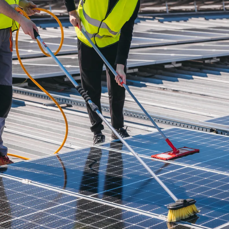 Solar Panel Cleaning